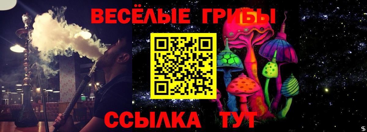 магазин    Галлюциногенные грибы прущие грибы  Вход с VPN  Ессентуки 